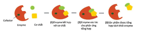 hinh-anh-bai-13-khai-quat-ve-chuyen-hoa-vat-chat-va-nang-luong-12834-5