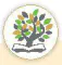 hinh-anh-doc-thuyen-va-bien-xuan-quynh-13128-3