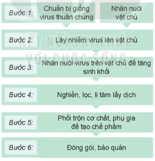 hinh-anh-bai-18-ung-dung-cong-nghe-vi-sinh-trong-phong-tru-sau-benh-hai-cay-trong-13310-3