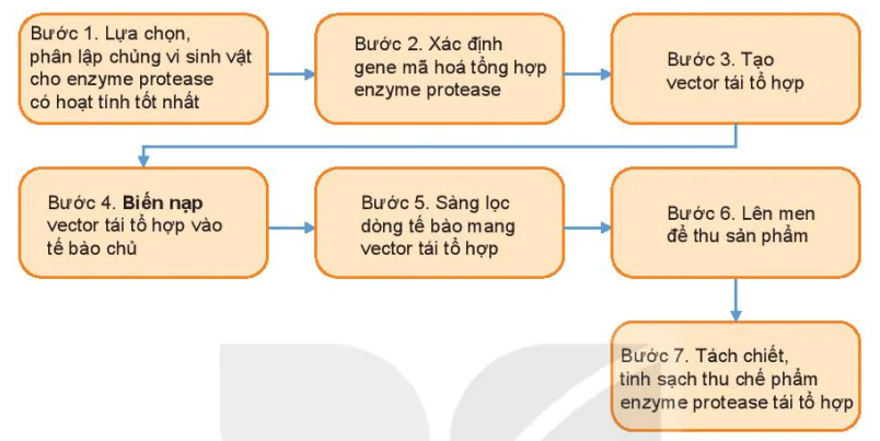 hinh-anh-bai-6-quy-trinh-cong-nghe-san-xuat-enzyme-13227-3