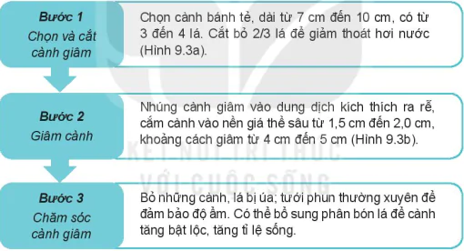 hinh-anh-bai-9-ki-thuat-trong-do-quyen-13348-2