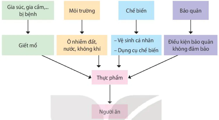 hinh-anh-bai-10-ngo-doc-thuc-pham-13589-3 hinh-anh-bai-10-ngo-doc-thuc-pham-13589-3