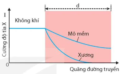 hinh-anh-bai-5-tia-x-13913-10