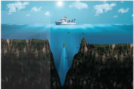 hinh-anh-bai-7-sieu-am-13915-12 hinh-anh-bai-7-sieu-am-13915-12