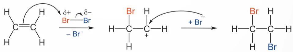 hinh-anh-bai-3-co-che-phan-ung-cong-13924-15 hinh-anh-bai-3-co-che-phan-ung-cong-13924-15