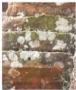 hinh-anh-bai-2-thiet-ke-bao-ton-di-san-kien-truc-13068-35
