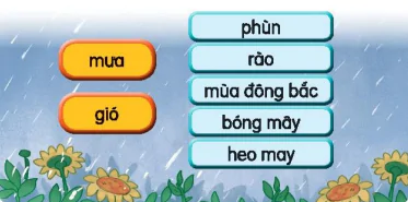hinh-anh-bai-2-mua-5342-6