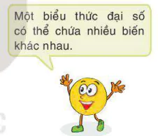 hinh-anh-bai-24-bieu-thuc-dai-so-5567-5