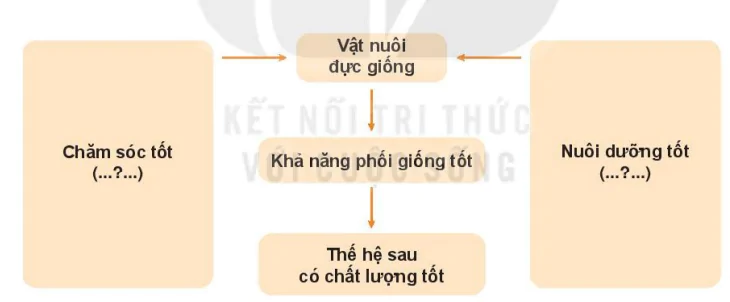 hinh-anh-bai-10-nuoi-duong-va-cham-soc-vat-nuoi-7449-4
