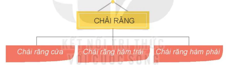 hinh-anh-bai-14-em-thuc-hien-cong-viec-nhu-the-nao-7629-4