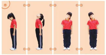 hinh-anh-bai-12-tu-the-van-dong-cua-dau-va-co-9244-4