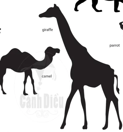 hinh-anh-canopy-creatures-9387-4 hinh-anh-canopy-creatures-9387-4