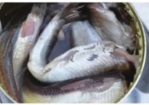 hinh-anh-c-goal-describe-characteristics-and-qualities-10754-4 hinh-anh-c-goal-describe-characteristics-and-qualities-10754-4