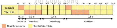 hinh-anh-bai-10-tuan-hoan-o-dong-vat-12076-4