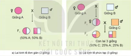 hinh-anh-bai-5-nhan-giong-vat-nuoi-12108-4