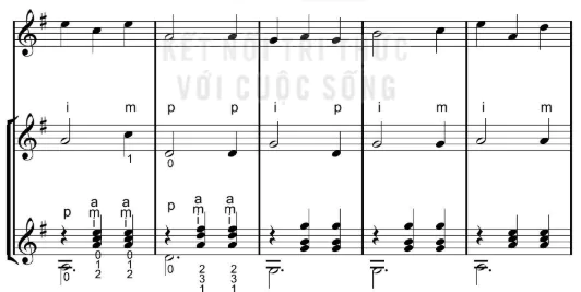 hinh-anh-bai-7-hoa-tau-tieu-pham-am-nhac-viet-nam-12687-4