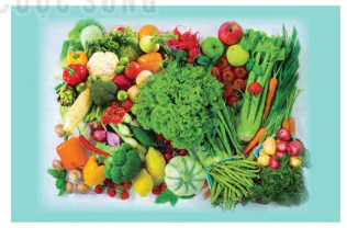 hinh-anh-chu-de-su-dung-cac-yeu-to-tu-nhien-va-dinh-duong-de-ren-luyen-suc-khoe-va-phat-trien-the-chat-12723-4