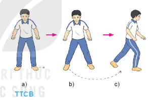 hinh-anh-bai-2-ki-thuat-di-chuyen-nhieu-buoc-12754-4