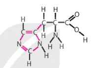 hinh-anh-bai-4-cac-nguyen-to-hoa-hoc-va-nuoc-12803-4