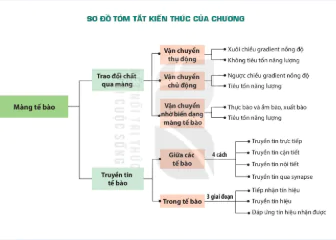 hinh-anh-bai-12-truyen-tin-te-bao-12833-4