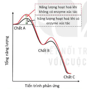 hinh-anh-bai-13-khai-quat-ve-chuyen-hoa-vat-chat-va-nang-luong-12834-6