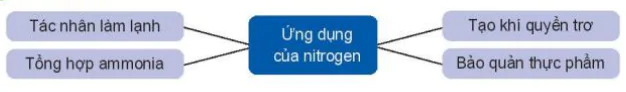 hinh-anh-bai-4-nitrogen-13179-8