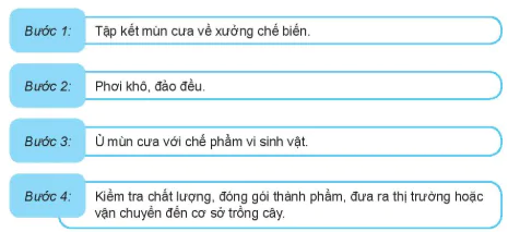hinh-anh-bai-5-gia-the-trong-cay-13261-4
