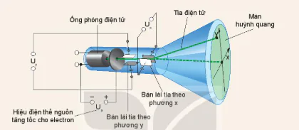 hinh-anh-bai-18-dien-truong-deu-13702-19