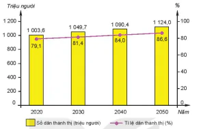 hinh-anh-ii-do-thi-hoa-o-cac-nuoc-phat-trien-13695-4