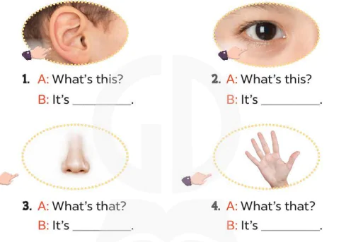 hinh-anh-lesson-1-13865-4