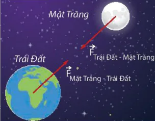 hinh-anh-bai-1-truong-hap-dan-13517-8