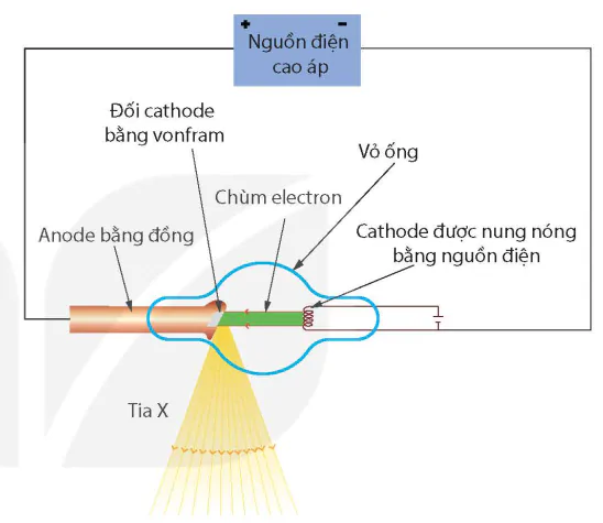 hinh-anh-bai-5-tia-x-13913-3