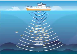 hinh-anh-bai-7-sieu-am-13915-11 hinh-anh-bai-7-sieu-am-13915-11