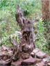 hinh-anh-bai-2-thiet-ke-bao-ton-di-san-kien-truc-13068-37