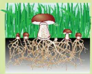 hinh-anh-bai-32-nam-7958-10