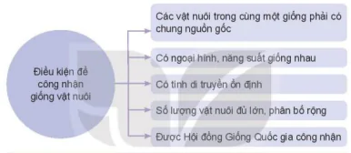 hinh-anh-bai-3-khai-niem-vai-tro-cua-giong-trong-chan-nuoi-12103-5