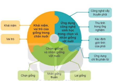hinh-anh-bai-6-ung-dung-cong-nghe-sinh-hoc-trong-chon-va-nhan-giong-vat-nuoi-12109-5