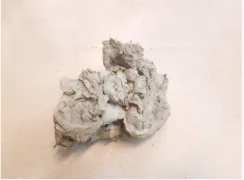 hinh-anh-bai-2-phu-dieu-12136-25