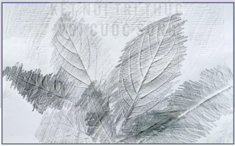 hinh-anh-bai-2-tranh-in-ban-dap-12158-16