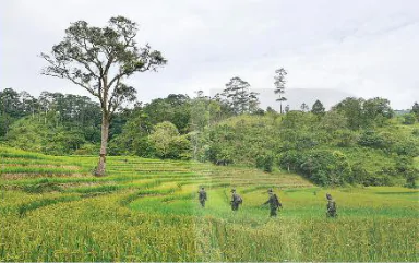 hinh-anh-bai-1-khai-quat-ve-nghe-thuat-nhiep-anh-12267-21