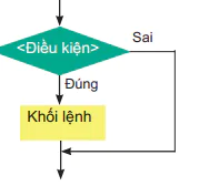 hinh-anh-bai-19-cau-lenh-re-nhanh-if-12273-5