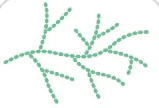 hinh-anh-bai-5-cac-phan-tu-sinh-hoc-12804-6