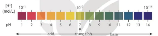 hinh-anh-bai-2-can-bang-trong-dung-dich-nuoc-13177-34