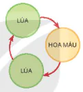 hinh-anh-bai-11-khai-niem-va-vai-tro-cua-giong-cay-trong-13269-8