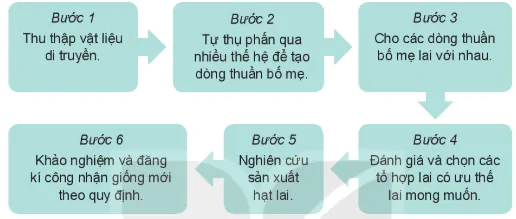 hinh-anh-bai-12-mot-so-phuong-phap-chon-tao-giong-cay-trong-13270-14