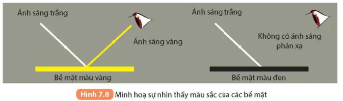 hinh-anh-bai-7-lang-kinh-5710-12