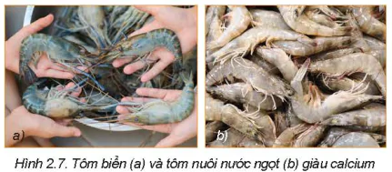 hinh-anh-bai-2-lua-chon-va-bao-quan-thuc-pham-5719-6