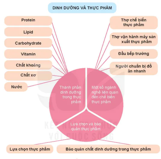 hinh-anh-bai-3-mot-so-nganh-nghe-lien-quan-den-che-bien-thuc-pham-5720-3