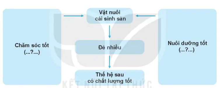 hinh-anh-bai-10-nuoi-duong-va-cham-soc-vat-nuoi-7449-5