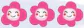 hinh-anh-tuan-31-7976-6 hinh-anh-tuan-31-7976-6